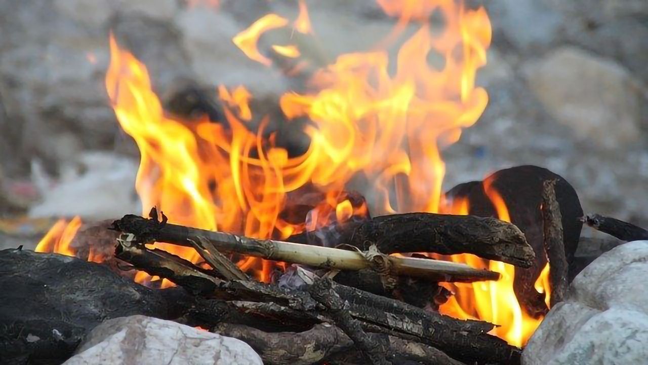 What Were Swiss Diets Like in the Bronze Age?