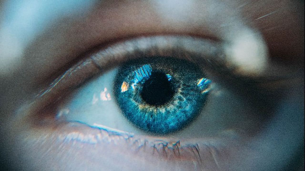 Mouse Study Shows Vision-Restoring Potential of Multiple Sclerosis Drug