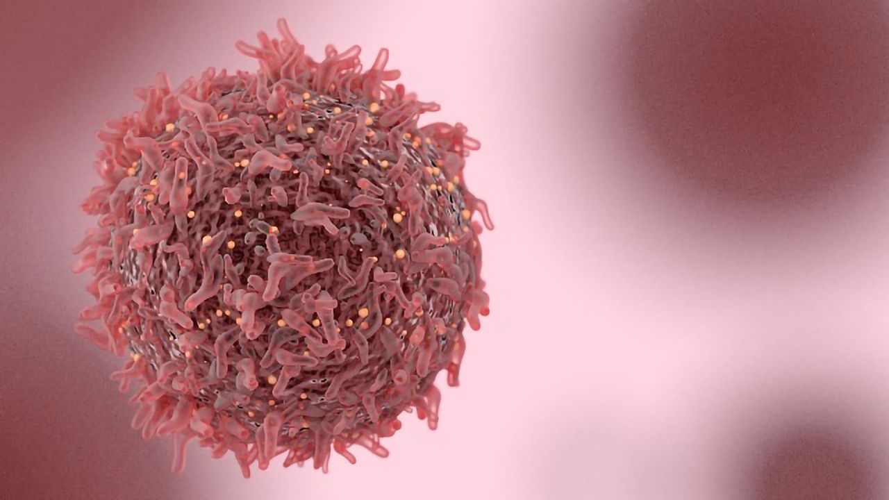 Team Sheds New Light on How Commonly-Used Breast Cancer Drugs Work