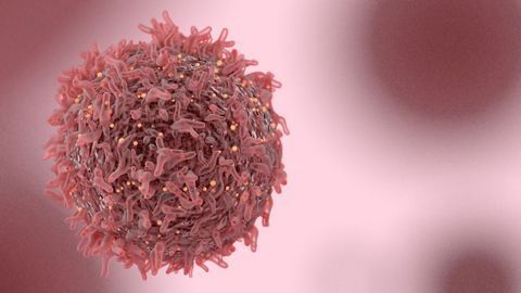 Team Sheds New Light on How Commonly-Used Breast Cancer Drugs Work