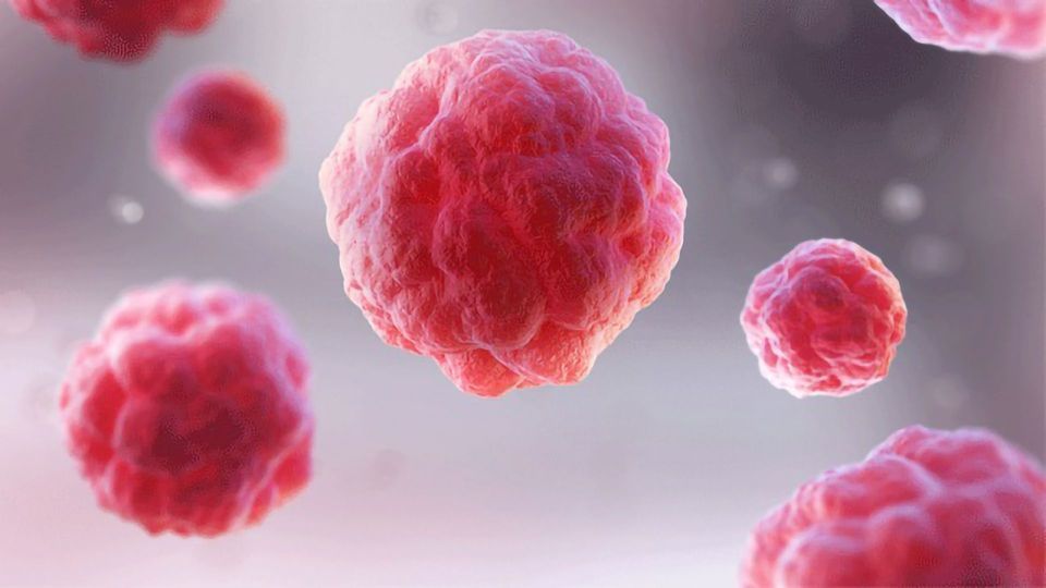 Modern Immunotherapeutic Drugs Trigger Tiny Molecular Motions content piece image