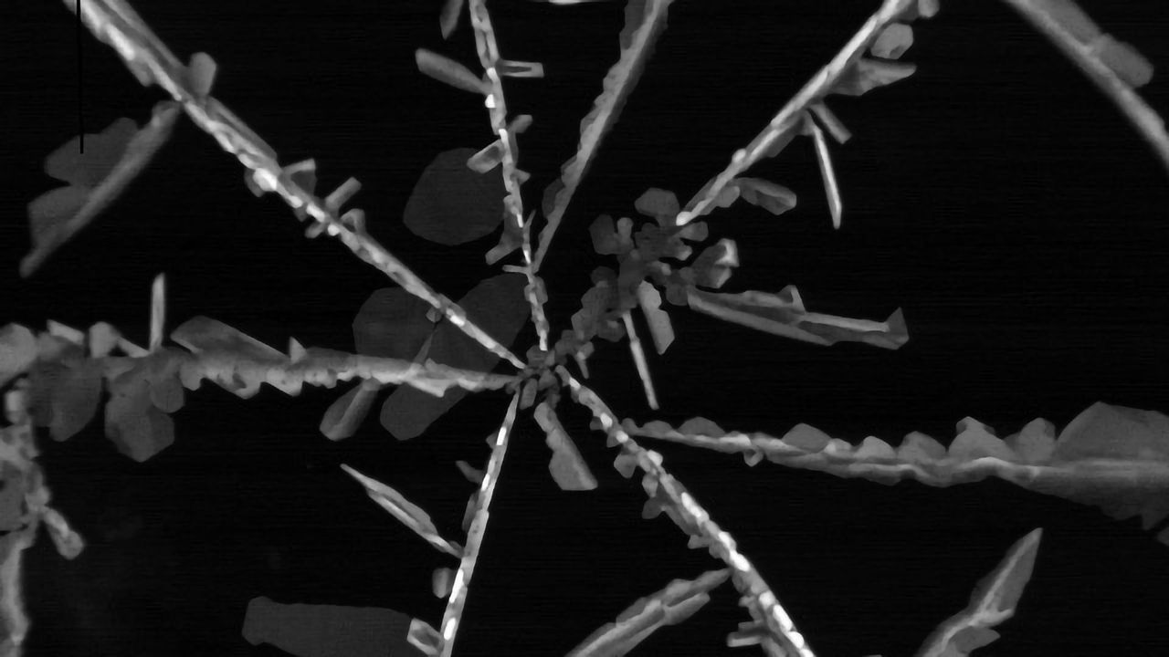 Antimicrobial Packaging Can Leach Harmful Silver Into Food and Beverages