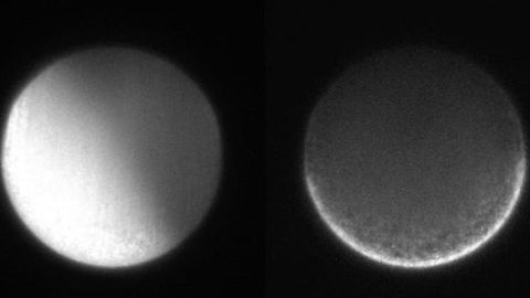 Imaging the First Moments of a Body Plan Emerging in the Embryo