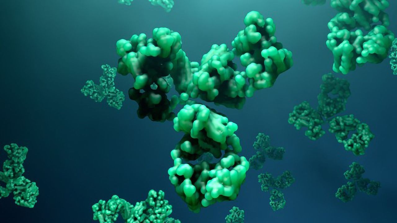Advances in Antibody Screening