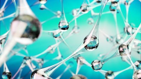 Machine Learning Technique Reveals the Many Conformations of a Protein