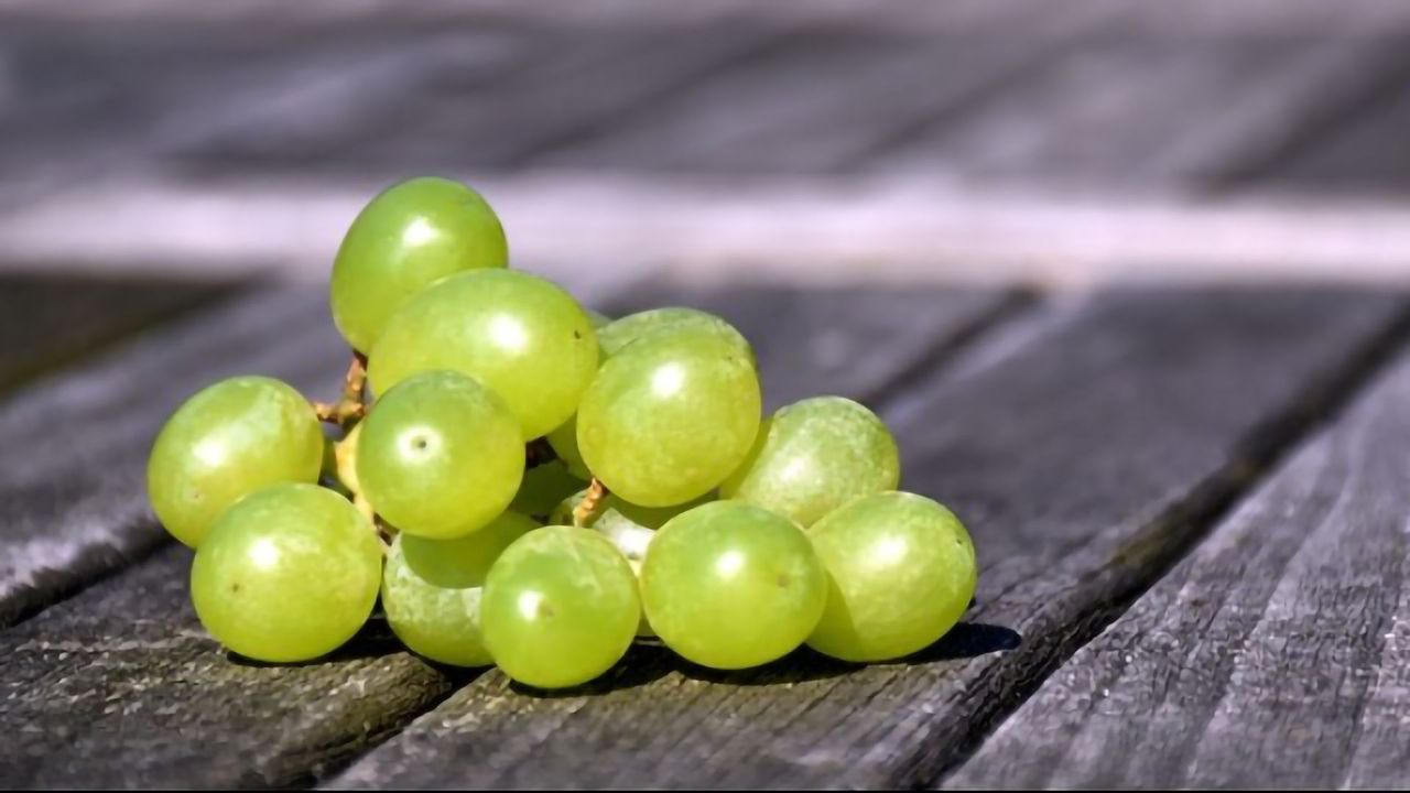 Eating Grapes May Help To Protect Skin From UV Damage