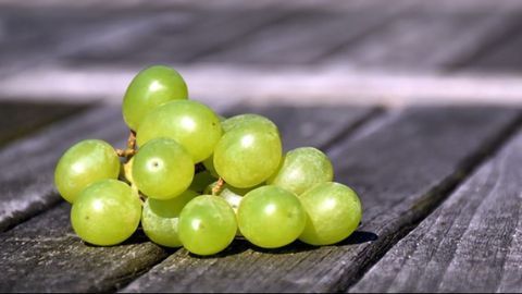 Eating Grapes May Help To Protect Skin From UV Damage