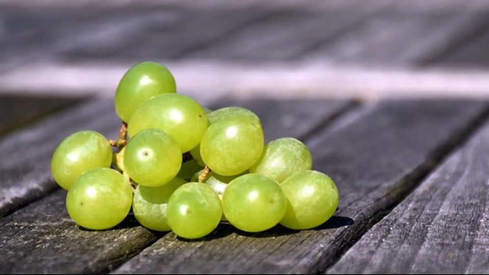 Eating Grapes May Help To Protect Skin From UV Damage content piece image