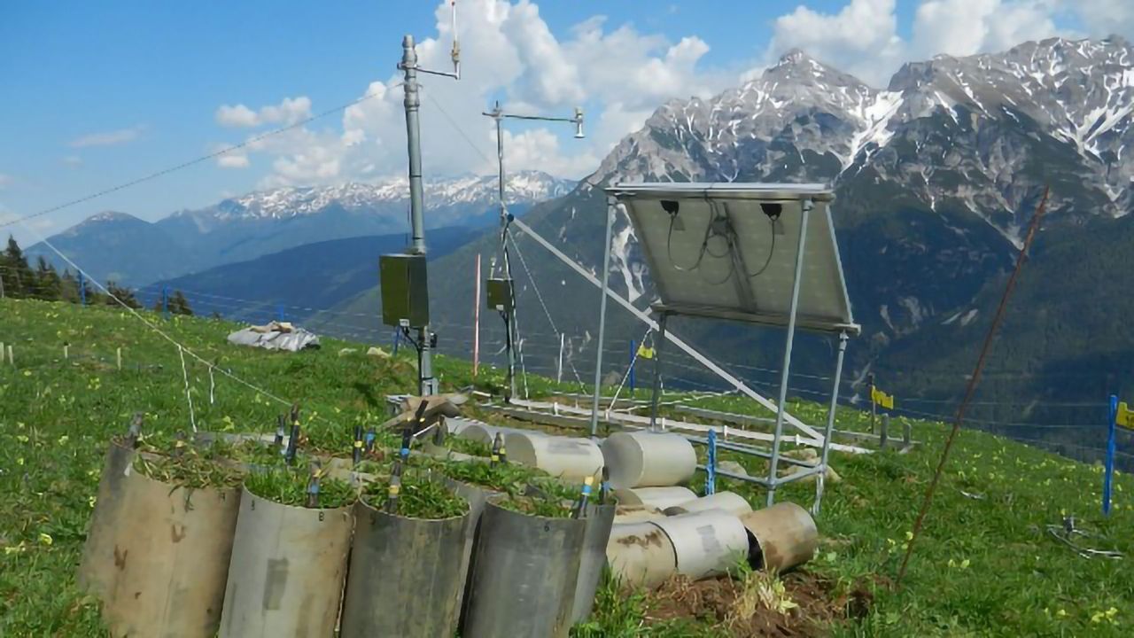 Tracing the Origins of Nitrous Oxide Emissions