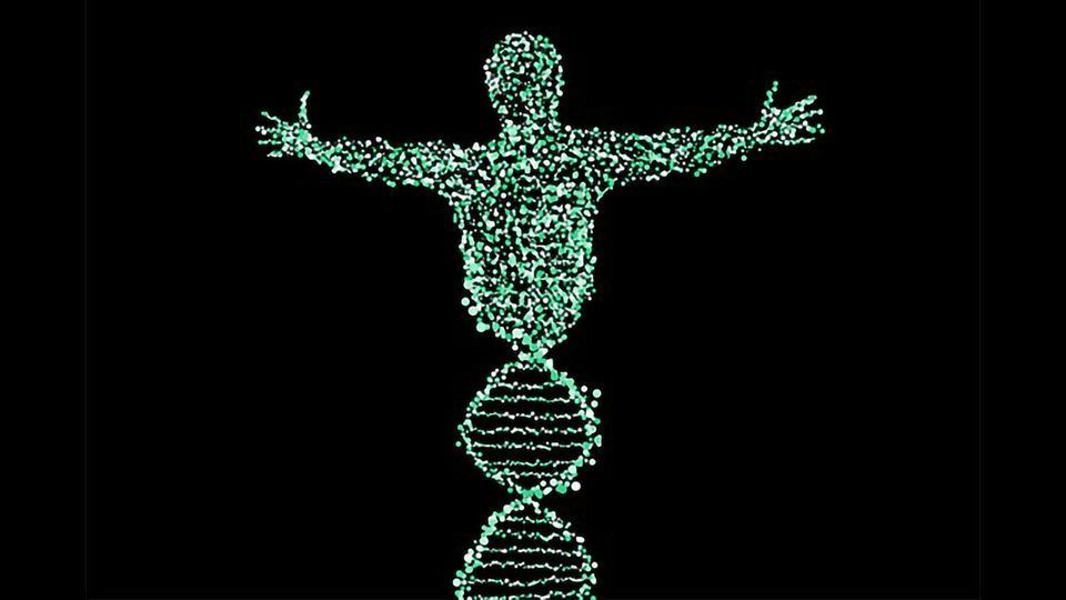 Potential of Precision Genomics Established in Cancer Treatment   content piece image