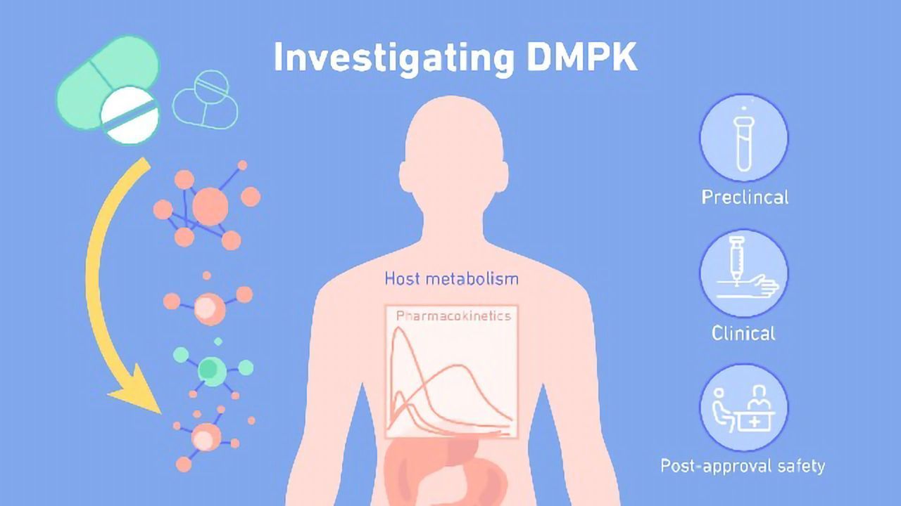 什么是DMPK（药物代谢和药代动力学）？