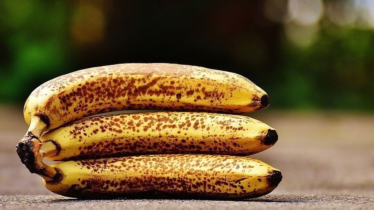 Green Banana or Brown Banana?