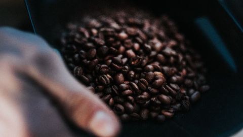 Caffeine Consumption in Pregnancy Linked to In Utero Brain Changes