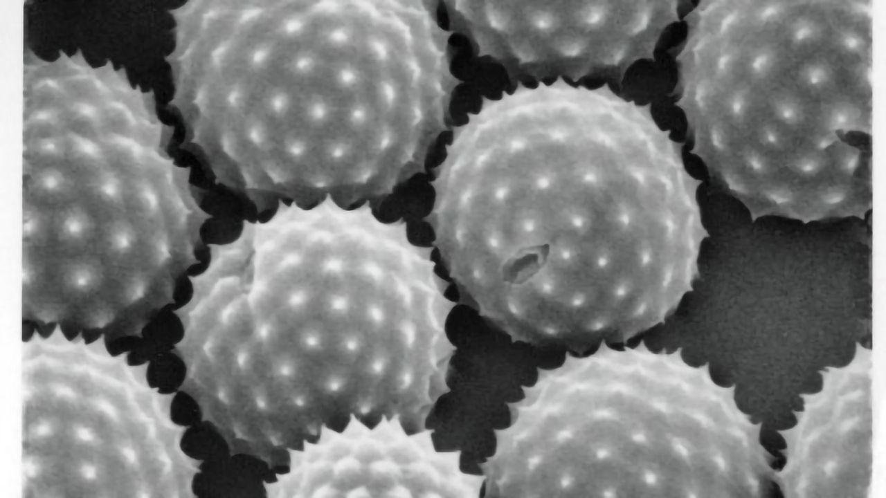 Worsening Allergy Season Linked to Human-Caused Climate Change