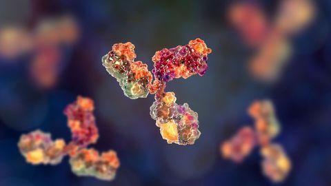 FDA Authorizes Monoclonal Antibody Treatment of COVID-19
