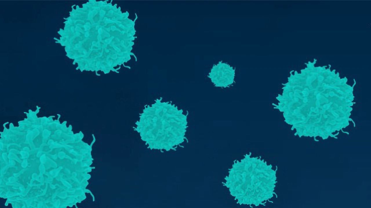 Turnkey Solutions for T-Cell Activation Research