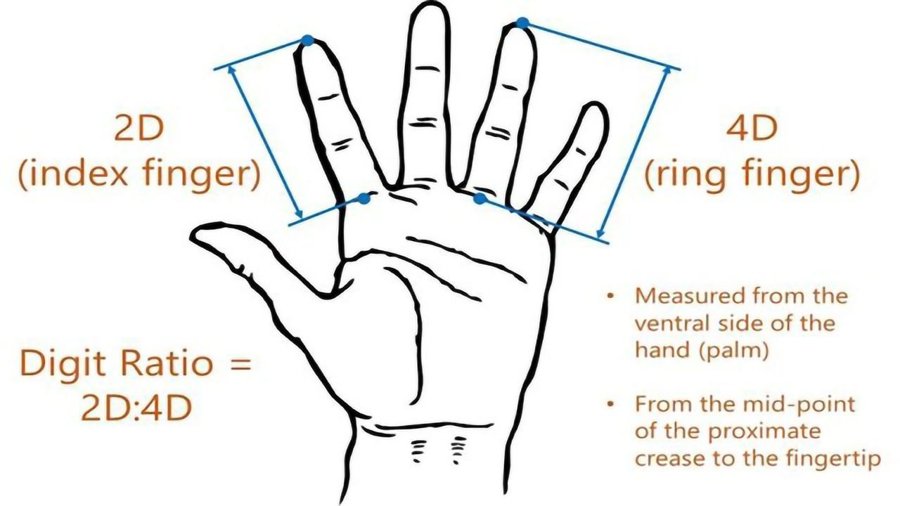 Children’s Finger Length “Points” to Mothers’ Income Level