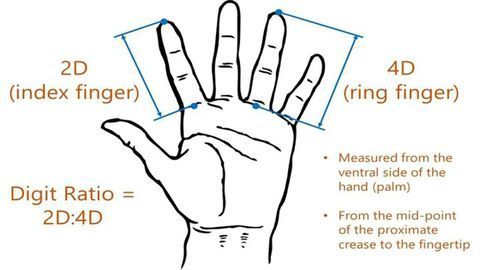 Children’s Finger Length “Points” to Mothers’ Income Level