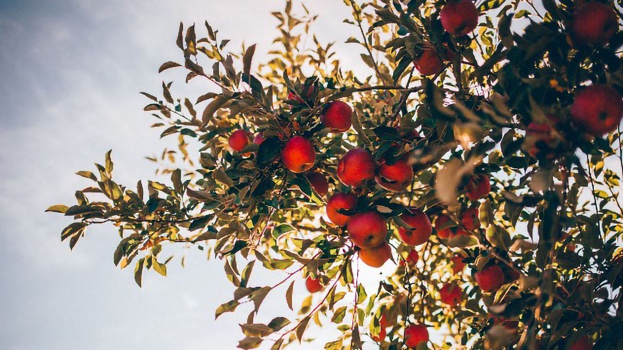 Why Aren't Our Brains Overloaded by Visual Stimuli?