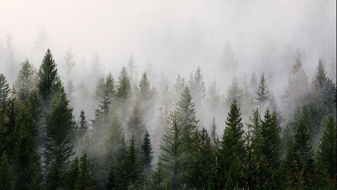 Inflammatory Molecules an Underlying Cause of COVID-19 Brain Fog