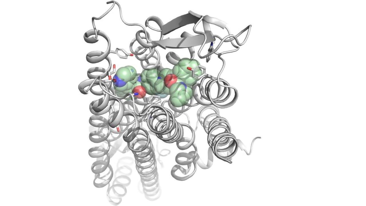 Molecular Blueprint of Receptor Could Help To Design New Drugs for Epilepsy