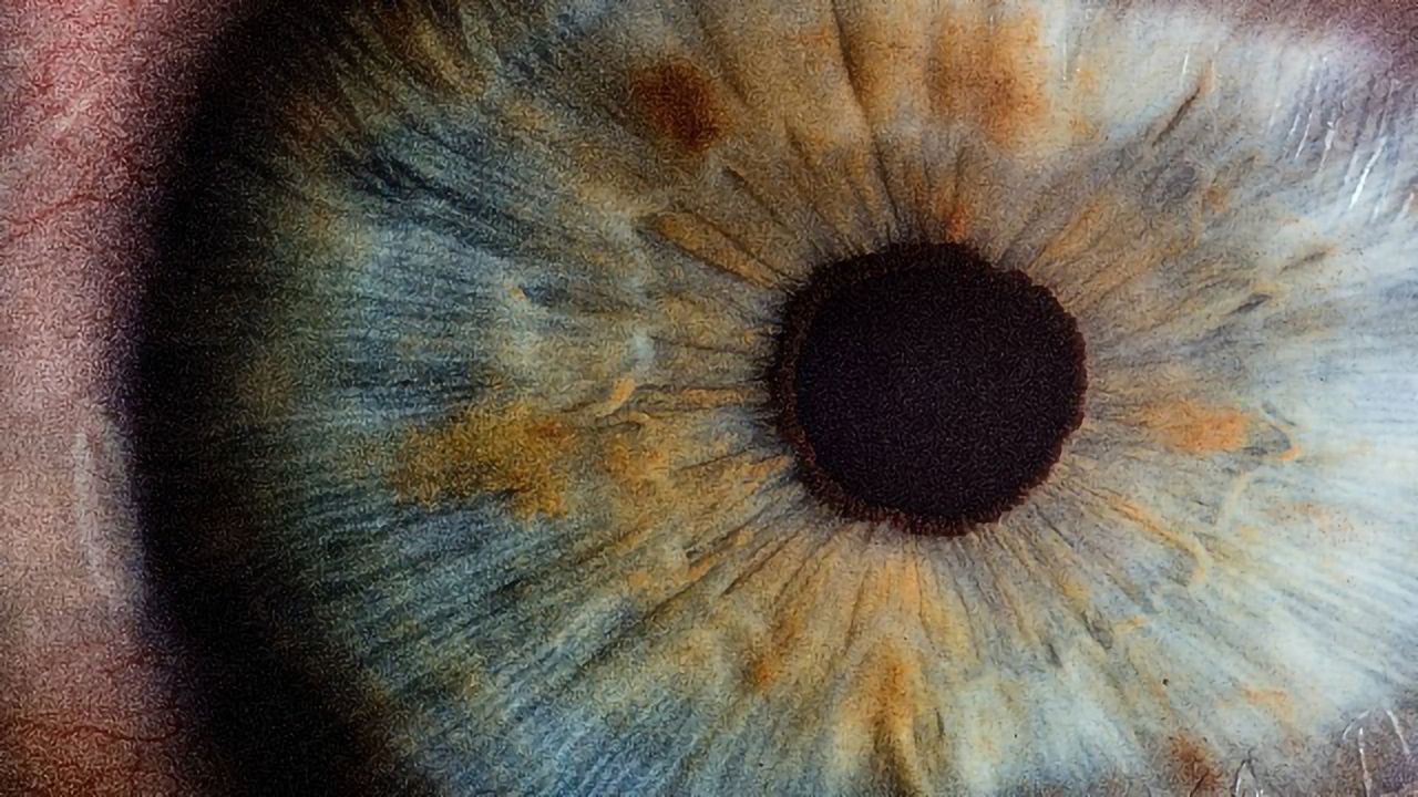 A Closer Look at Protein Packing in the Lens of the Human Eye