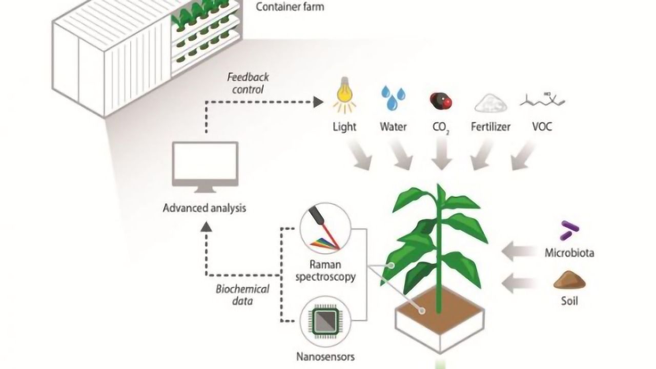 Next-Gen Technologies Key to Future of Traditional and Urban Agriculture