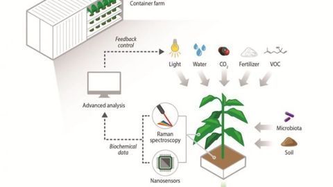 Next-Gen Technologies Key to Future of Traditional and Urban Agriculture