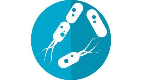 Understanding How Carcinogenic Bacteria Find Their Targets