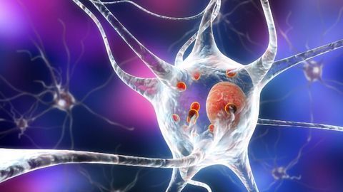 Function of Mysterious Parkinson's Protein Finally Revealed