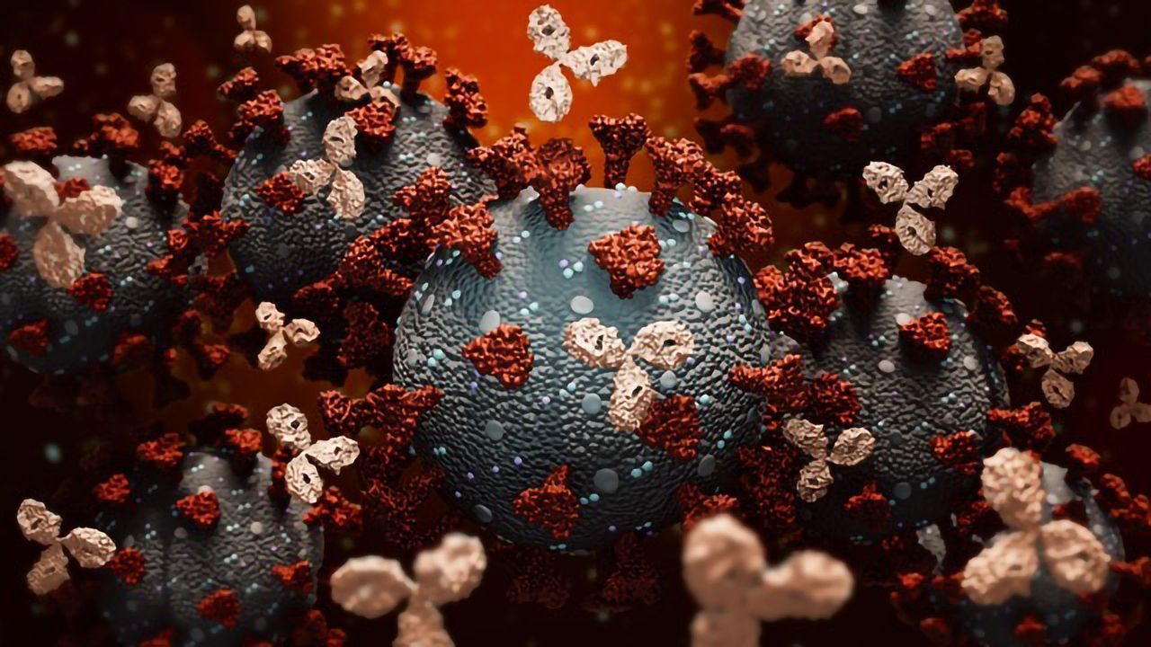 Deciphering SARS-CoV-2 Transmission With Serology Surveillance
