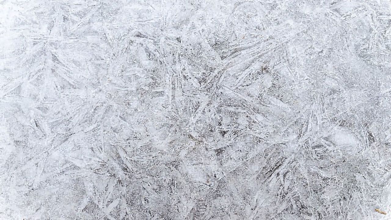 New Insights Could Facilitate the Development of Improved Chemical Cryoprotection Technologies