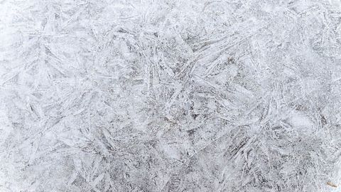 New Insights Could Facilitate the Development of Improved Chemical Cryoprotection Technologies