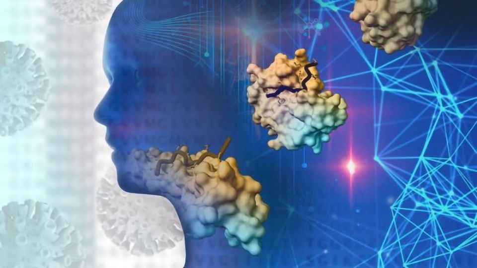 Protein Sequences That Might Be Used by SARS-CoV-2 To Infect Cells content piece image
