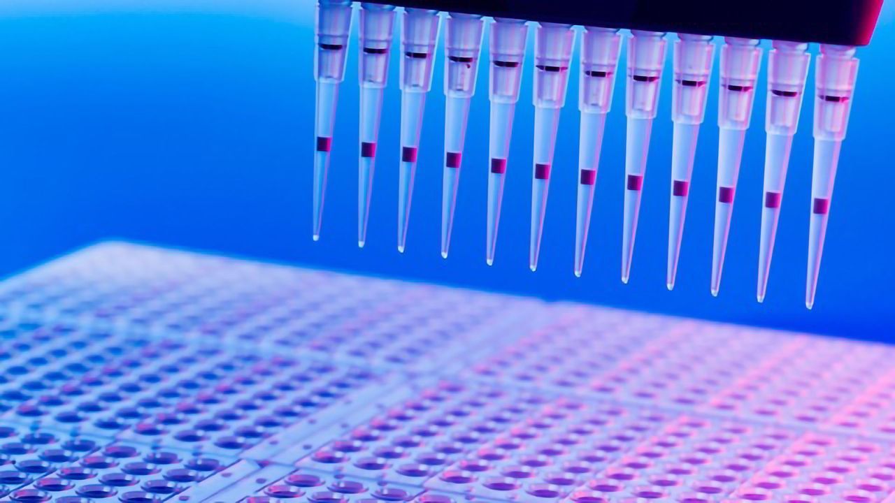 PCR: The "Workhorse" Technology