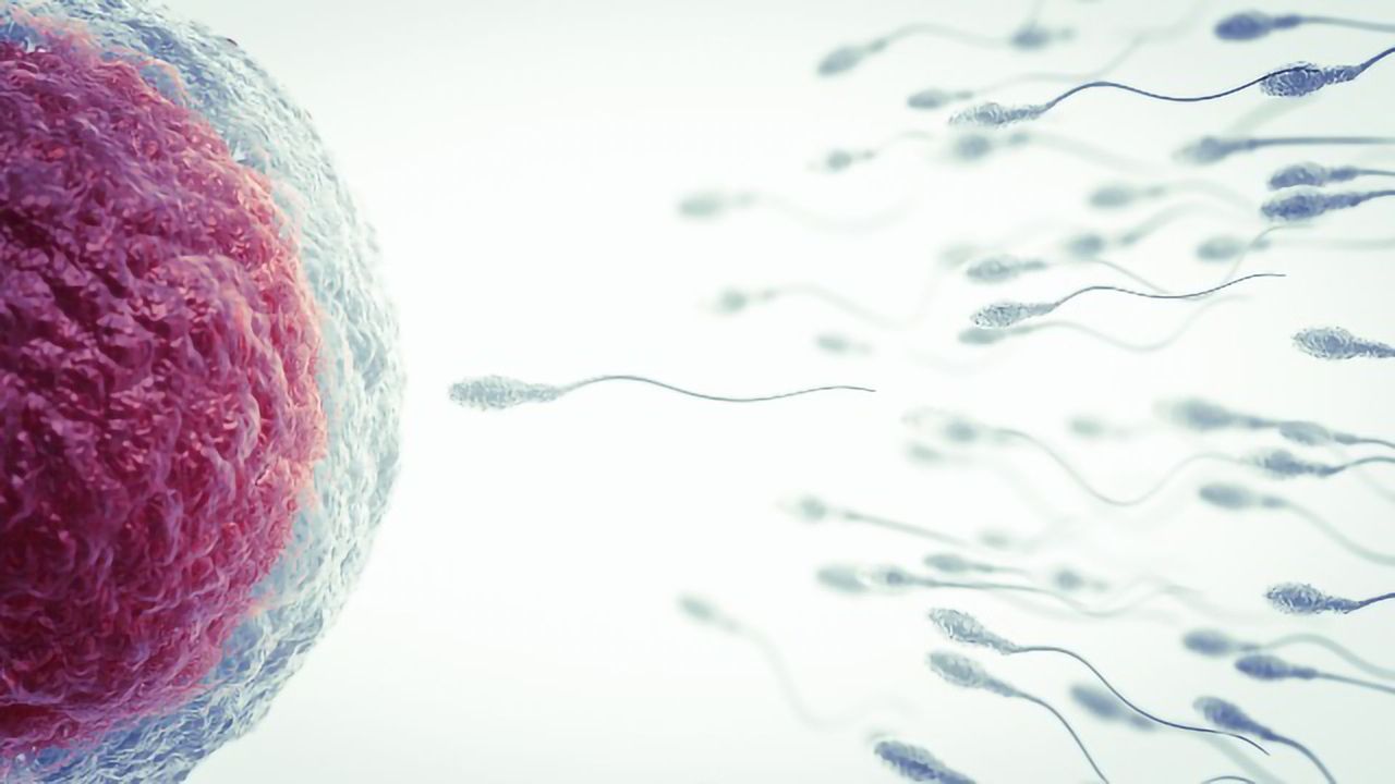 Stressed-Out Mice Pass on Depression-Like Behaviors to Their Offspring via Sperm