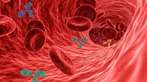 Nowhere To Hide Anymore for Common Virus