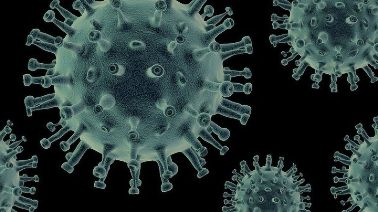 Viruses Can Block the Immune Response by Hijacking Cellular Processes
