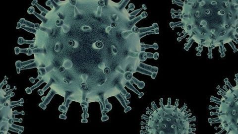Viruses Can Block the Immune Response by Hijacking Cellular Processes