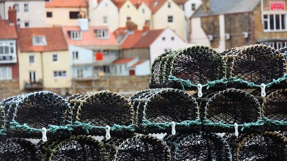 Long-Term Benefits for Managing Crab and Lobster Catches content piece image