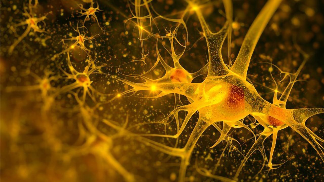 Lack of Oxygen Makes Nerve Cells Grow