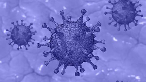 Blood Biomarker Test Rapidly Detects COVID-19 Severity
