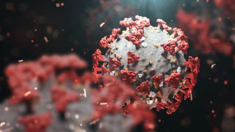 Therapeutically Targeting Proteins Hijacked by SARS-CoV-2