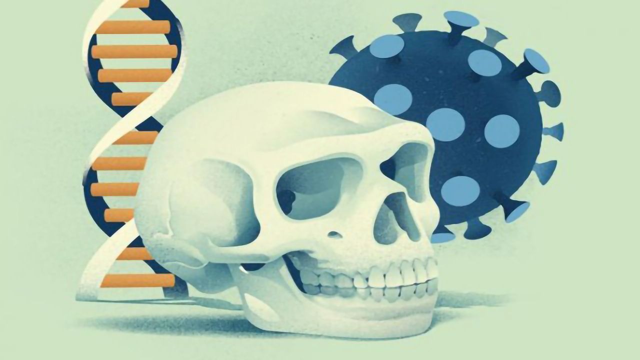 Neanderthal Gene Variants Both Increase and Decrease COVID-19 Risk