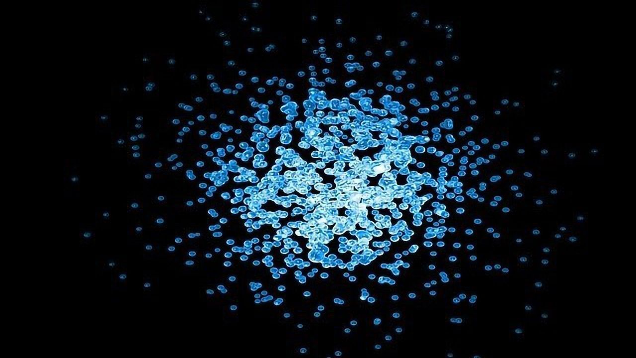 When Bacteria Prey on Bacteria