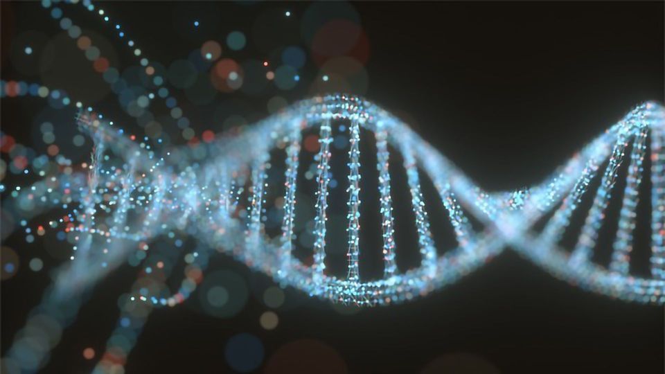 Study Locates Five Genes That May Play a Critical Role in Lewy Body Dementia content piece image