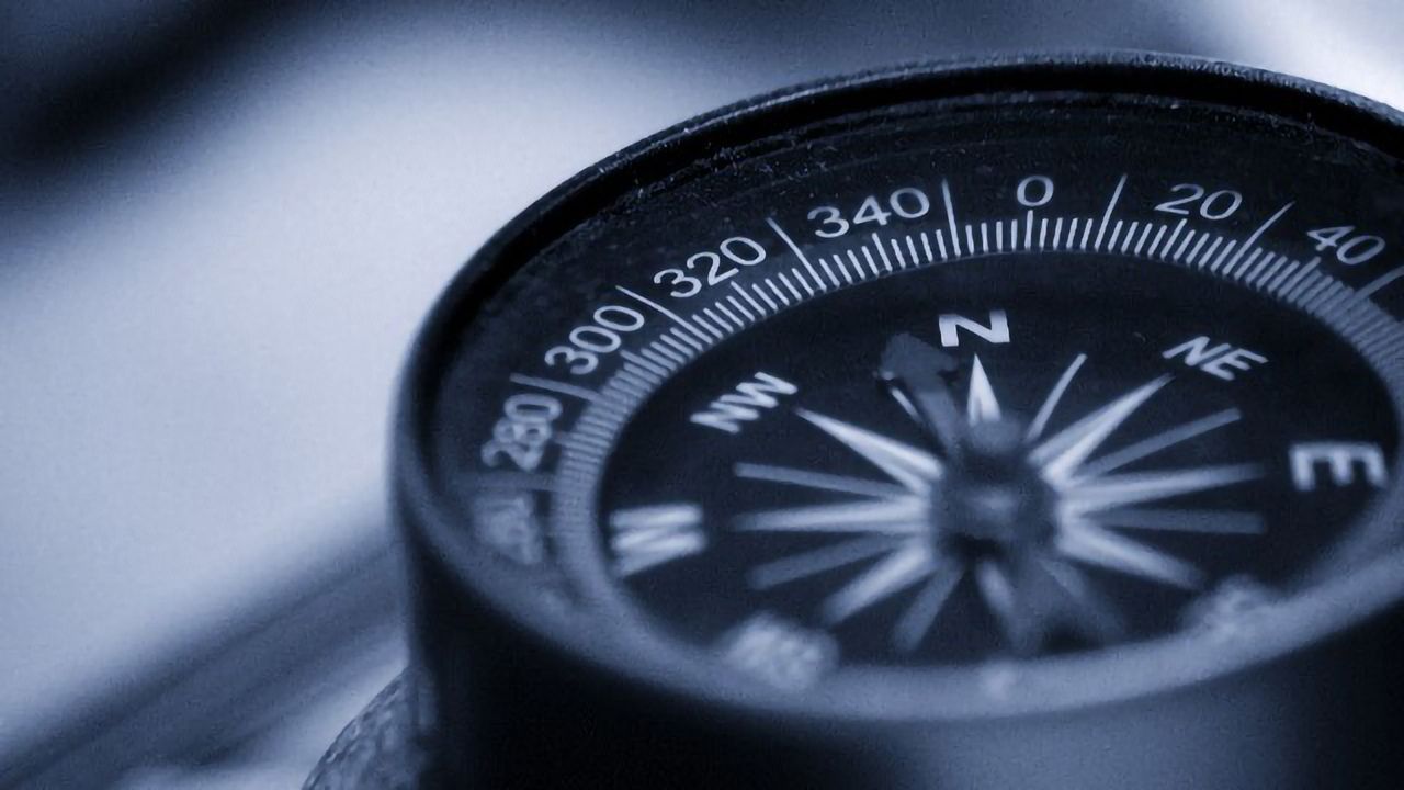 Cells Use Concentration Gradients as a Compass