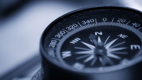 Cells Use Concentration Gradients as a Compass