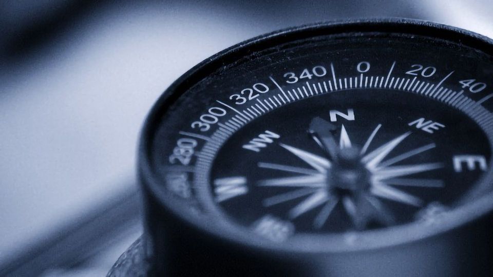 Cells Use Concentration Gradients as a Compass content piece image