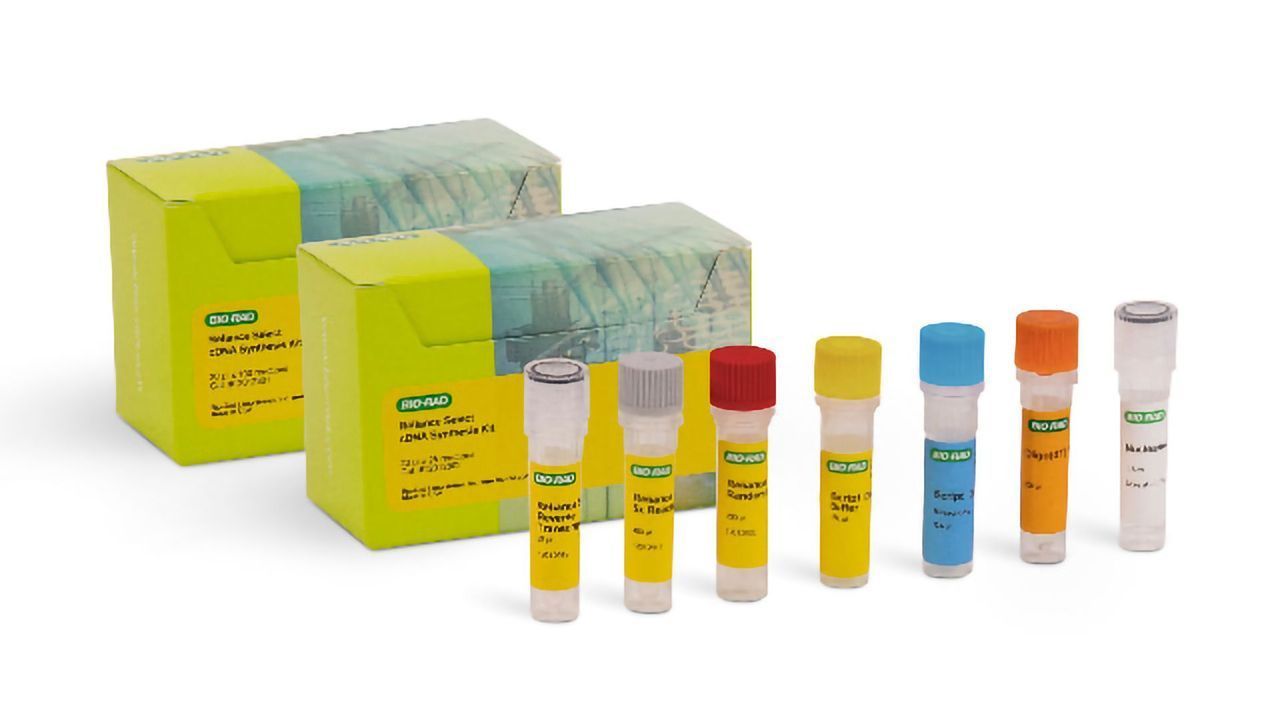 Reliance Select cDNA Synthesis Kit